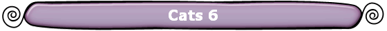 Cats 6